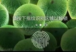 青瓜最新爆料图片,独家图片揭秘幕后真相