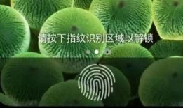 青瓜最新爆料图片,独家图片揭秘幕后真相